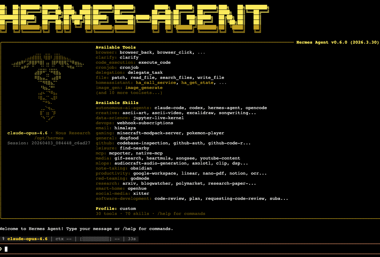 Hermes Agent terminal interface